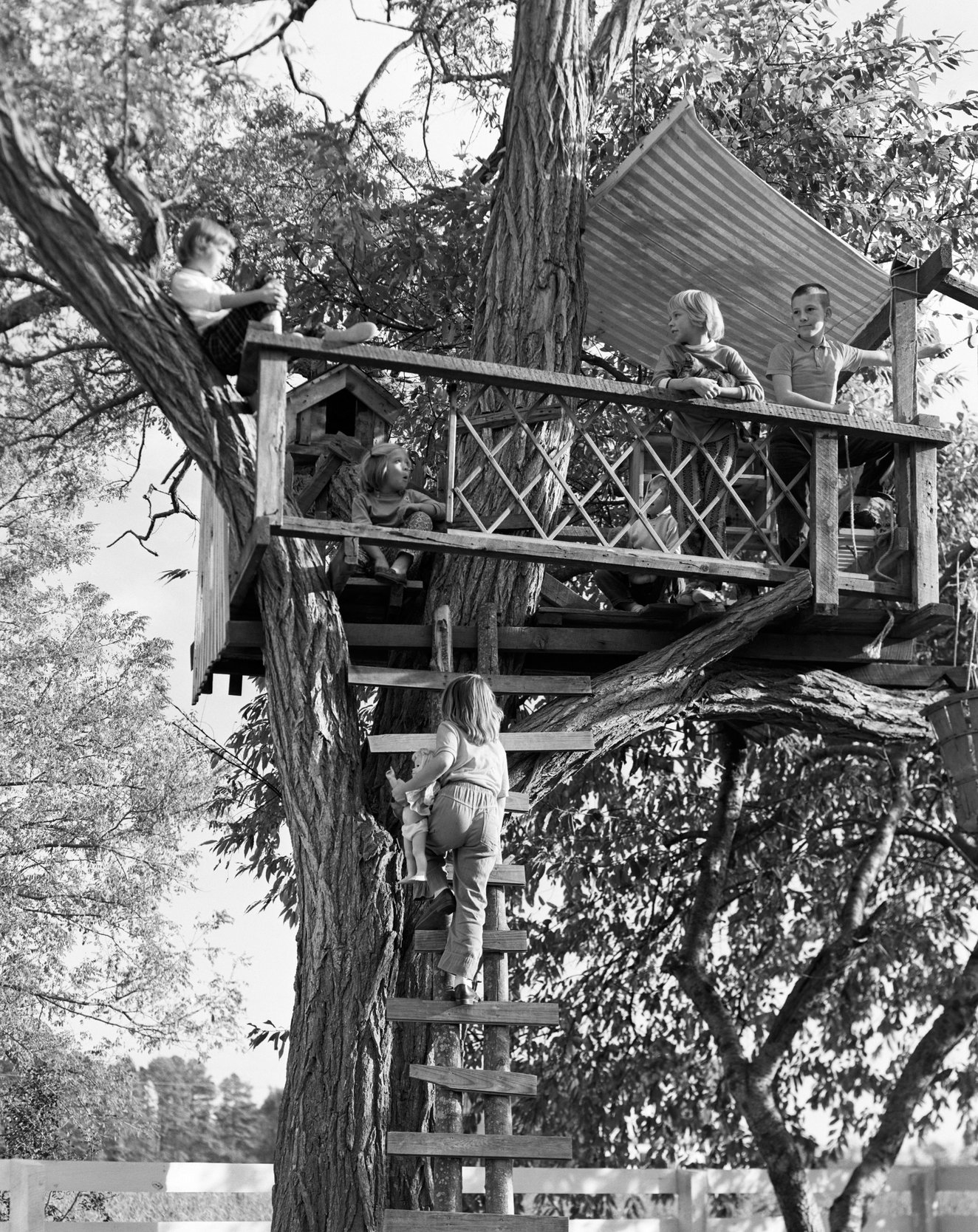 A vintage treehouse